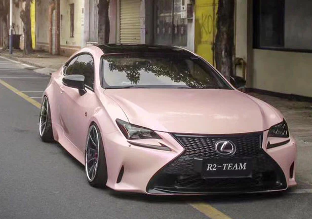 Platinum Gloss Metallic: Dreamy Rogue Pink X-DR170 - Image 6